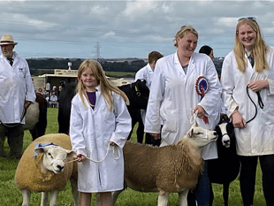 Holsworthy show celebrate 125 years with the sun shining