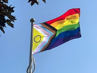 Bude Royal British Legion chair resigns amid Bude Pride row 