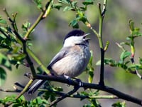 AONB to hold annual forum