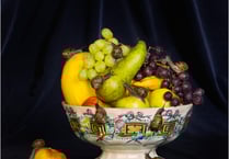 Launceston Camera Club create magic for still life competition
