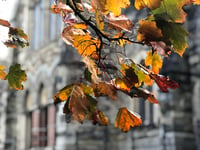 Picture This photography club - looking back to last autumn 