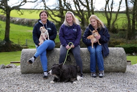 Local charity helps families and animals escape domestic abuse