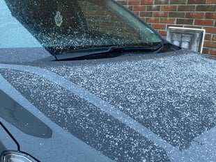 First signs of snow spotted in Launceston 