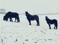 Gallery: See the Cornwall winter snaps taken by our photography club 
