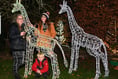 Hard work pays off at St Teath lights