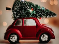 Christmas tree collection and recycling from your door