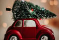 Christmas tree collection and recycling from your door