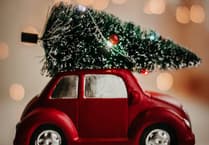 Christmas tree collections - the key postcode information