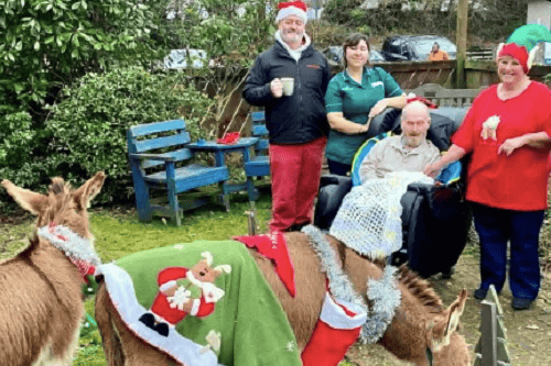 Kernow House Donkey Visit