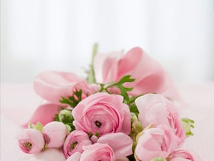 Obituary: Kathleen ‘Kathy’ Fish