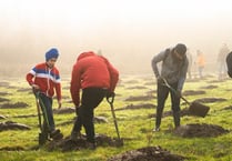 Schools and communities urged to sign up to tree planting scheme