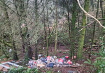 Launceston residents disappointed at woodland flytipping