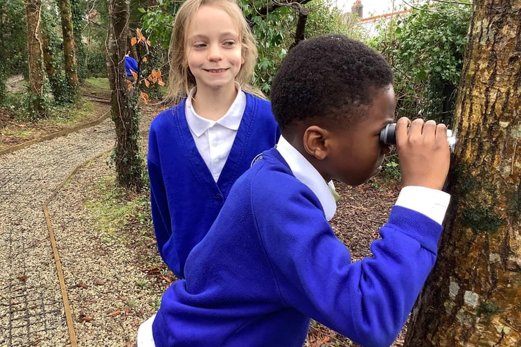 Launceston Windmill Hill sustainability project