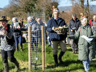 Church joins forces with community orchard for wassail 