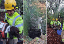 Crews work together to rescue Daisy the dog from mineshaft 