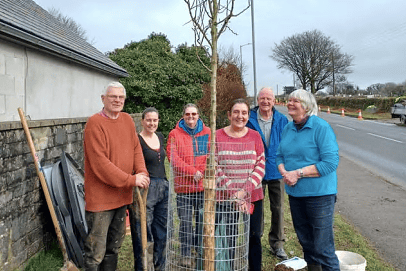 Tree planting in Callington