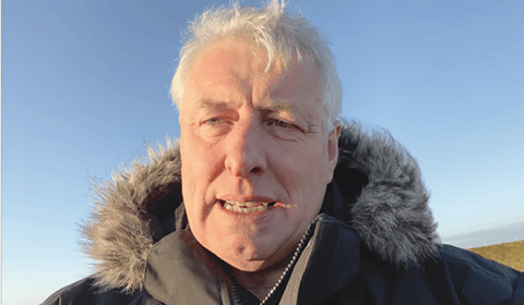 Fred Knobbit: Bright yellow flowers lift the gloom on a grey day