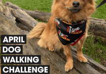 Dog walkers urged to step up to a four-legged fundraising challenge