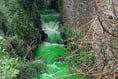 'Harmless' dye turns river fluorescent green 