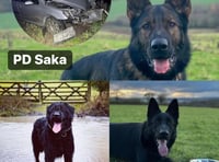 Police share some 'paw-some' news