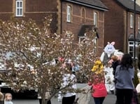 Holsworthy Mutual Aid plans Easter Bunny 'eggstravanza' 