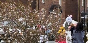 Holsworthy Mutual Aid plans Easter Bunny 'eggstravanza' 