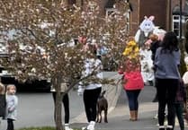 Holsworthy Mutual Aid plans Easter Bunny 'eggstravanza'