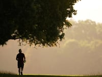 Adults in Cornwall are less active than their neighbours