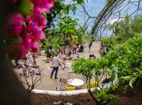 Visitors can expect a world of wonder during half term