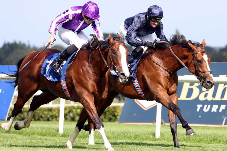 More than 100 entries at Holnicote