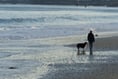 Beaches where dogs will be banned from this week