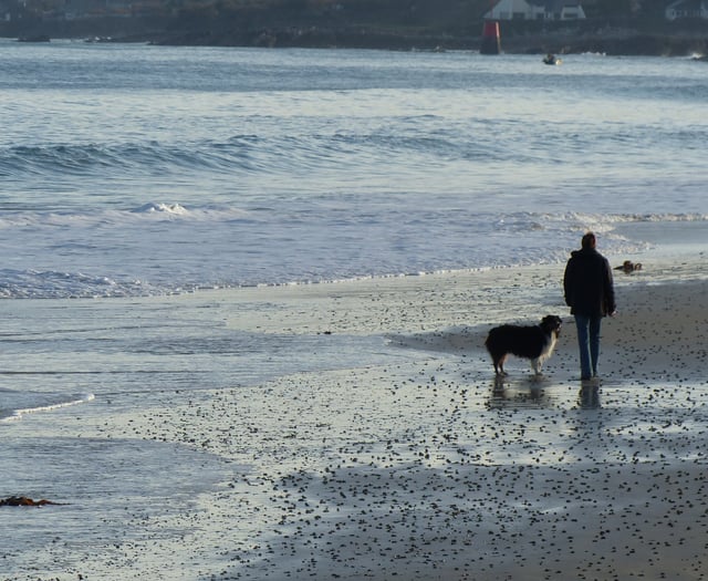 Beaches where dogs will be banned from this week
