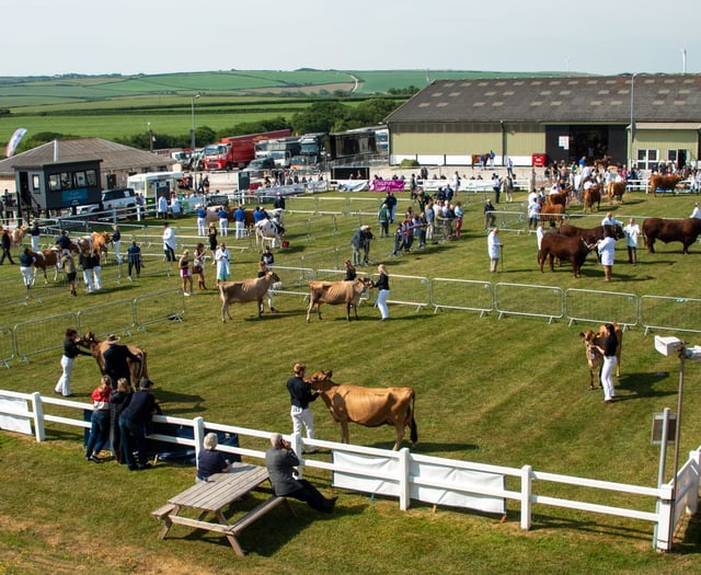 Five arrests made during the Royal Cornwall Show