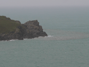 Four criminal investigations launched into South West Water 