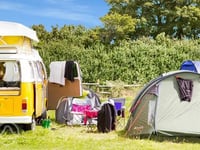 Campsite becomes viral TikTok sensation