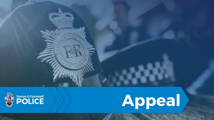 Police appeal following thefts from cars