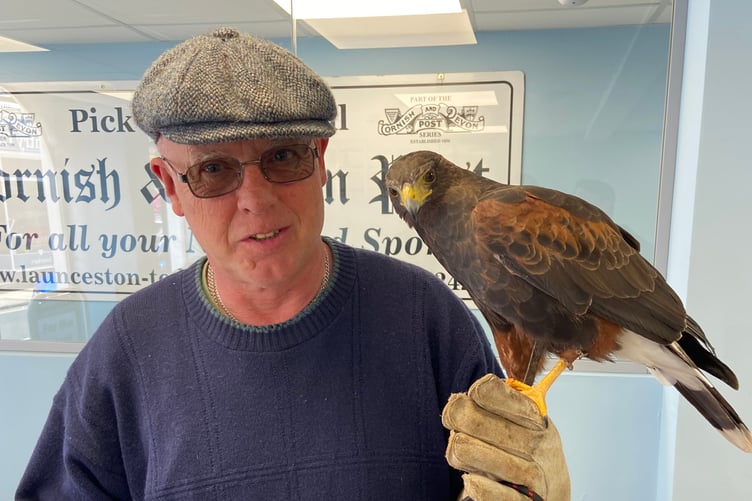 Larkin the Harris Hawk and his handler Ian McDade