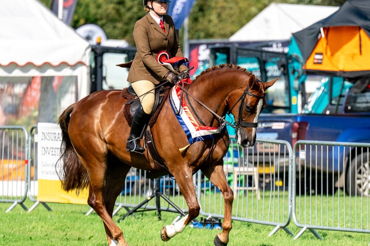 The equine-lover will thoroughly enjoy this year's show with plenty of displays and a Grand Parade of Champion Livestock and Horses in the main ring during the afternoon