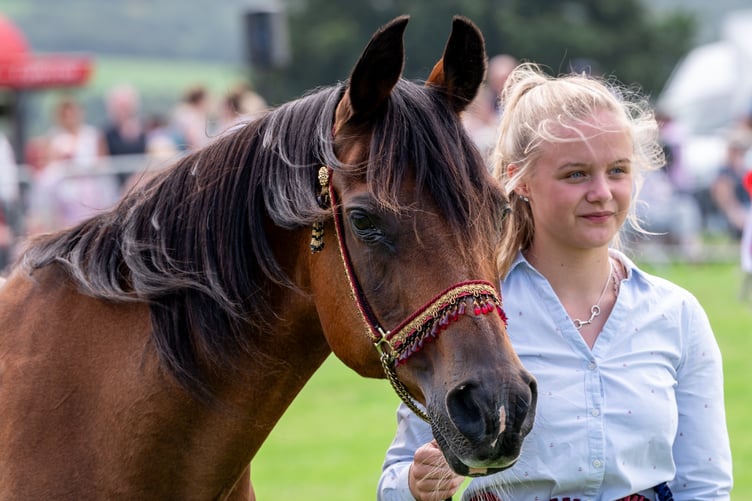 The equine-lover will thoroughly enjoy this year's show with plenty of displays and a Grand Parade of Champion Livestock and Horses in the main ring during the afternoon