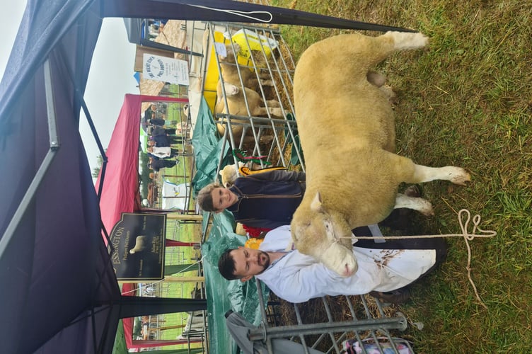 Julian Rice and his seven year old daughter Delilah of North Tawton proudly showed off their champion sheerling ram. They had collected an armful of rosettes for their Poll Dorset sheep. (Picture: Elias O'Neill)