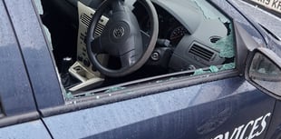 Garage owner 'gutted' after vandals trash vehicles 