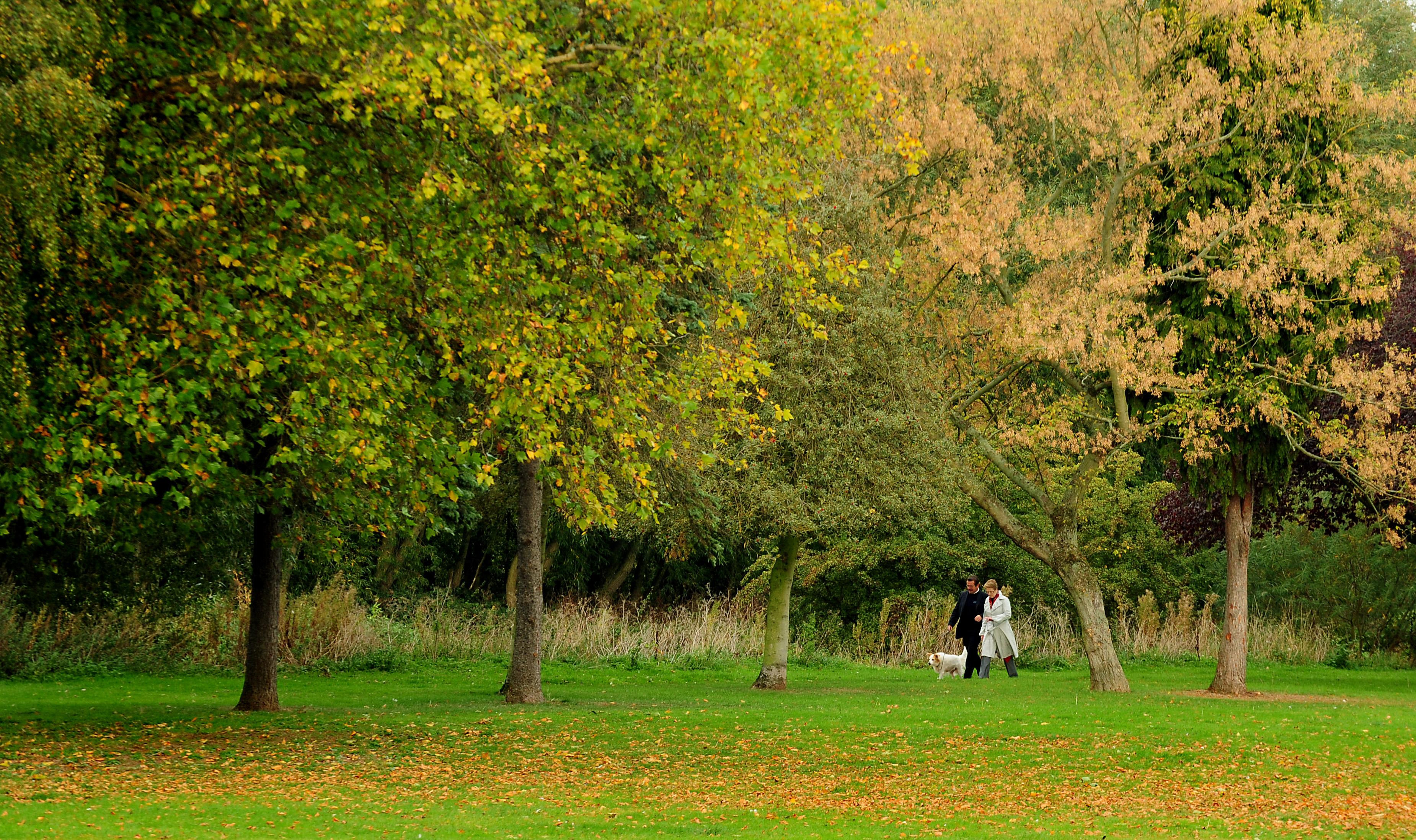 Access to green space in Cornwall lower than South West average