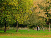 Access to green space in Cornwall lower than South West average