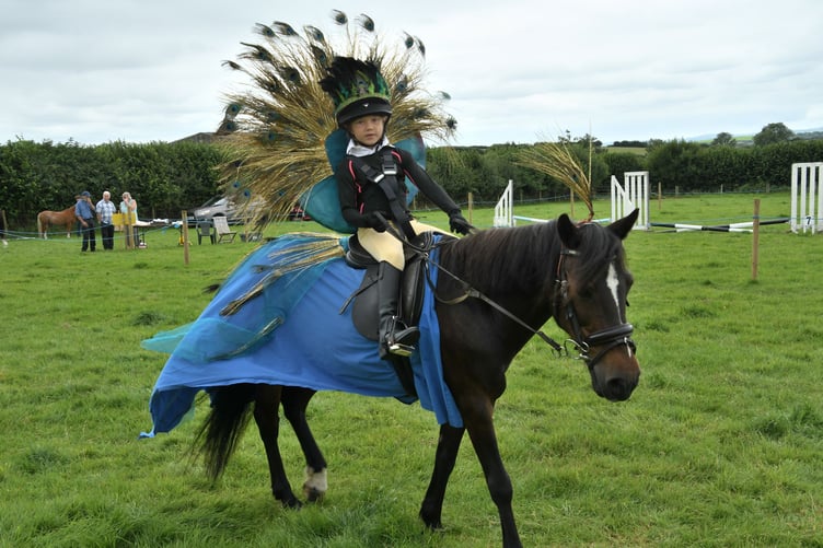 One of the many creative fancy dress entries in the horse classes. (Pictures: Rodney Parrish)