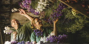 Flowers being harvested for Cotehele's Christmas Garland