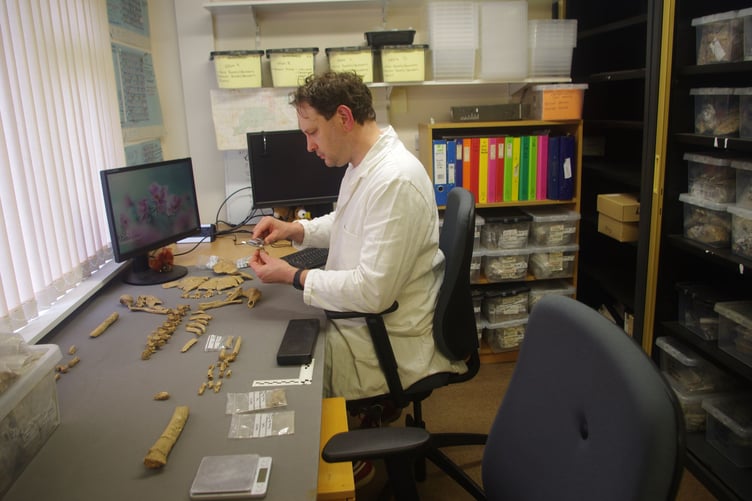 The remains have undergone analysis by a team of experts