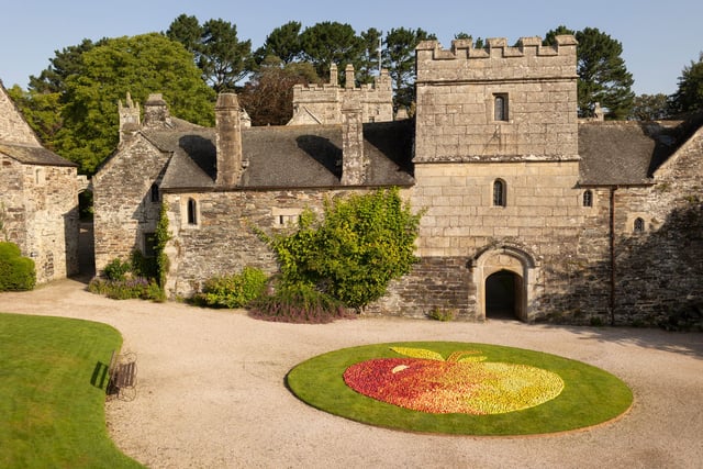 Autumn adventures await as National Trust gears up for half-term fun