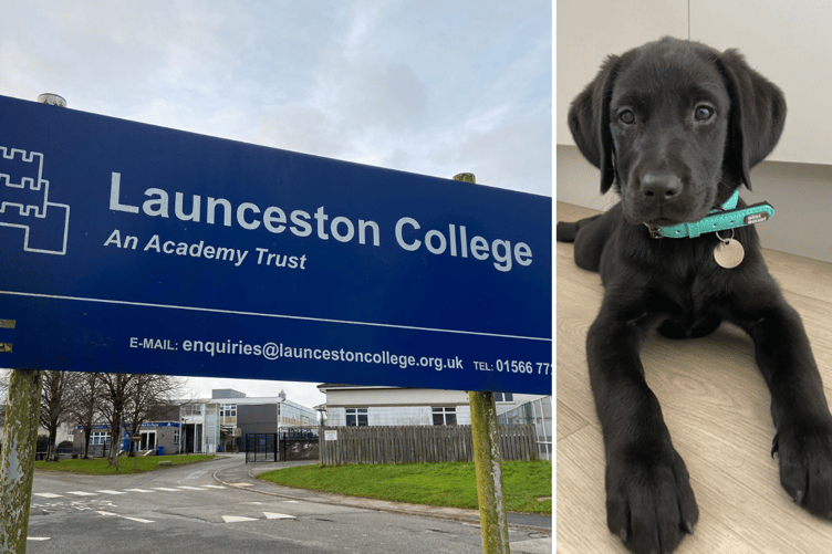 Launceston College Support Dog