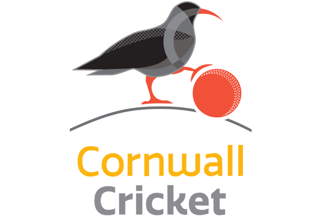 Birkett strikes debut ton as all three Cornish teams win