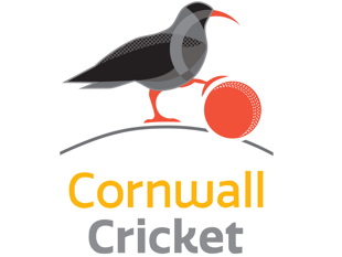 Birkett strikes debut ton as all three Cornish teams win